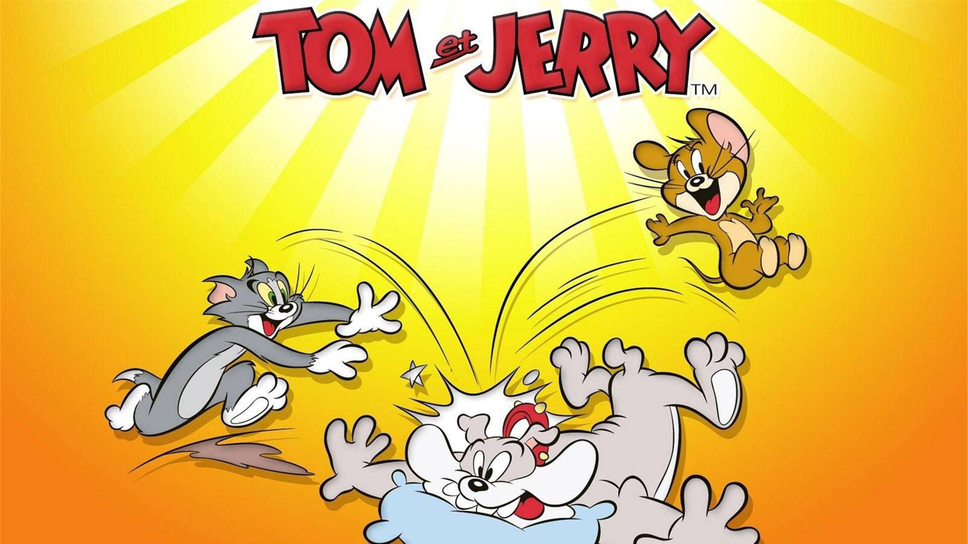 Tom og Jerry Sød Chase Tapet Wallpaper