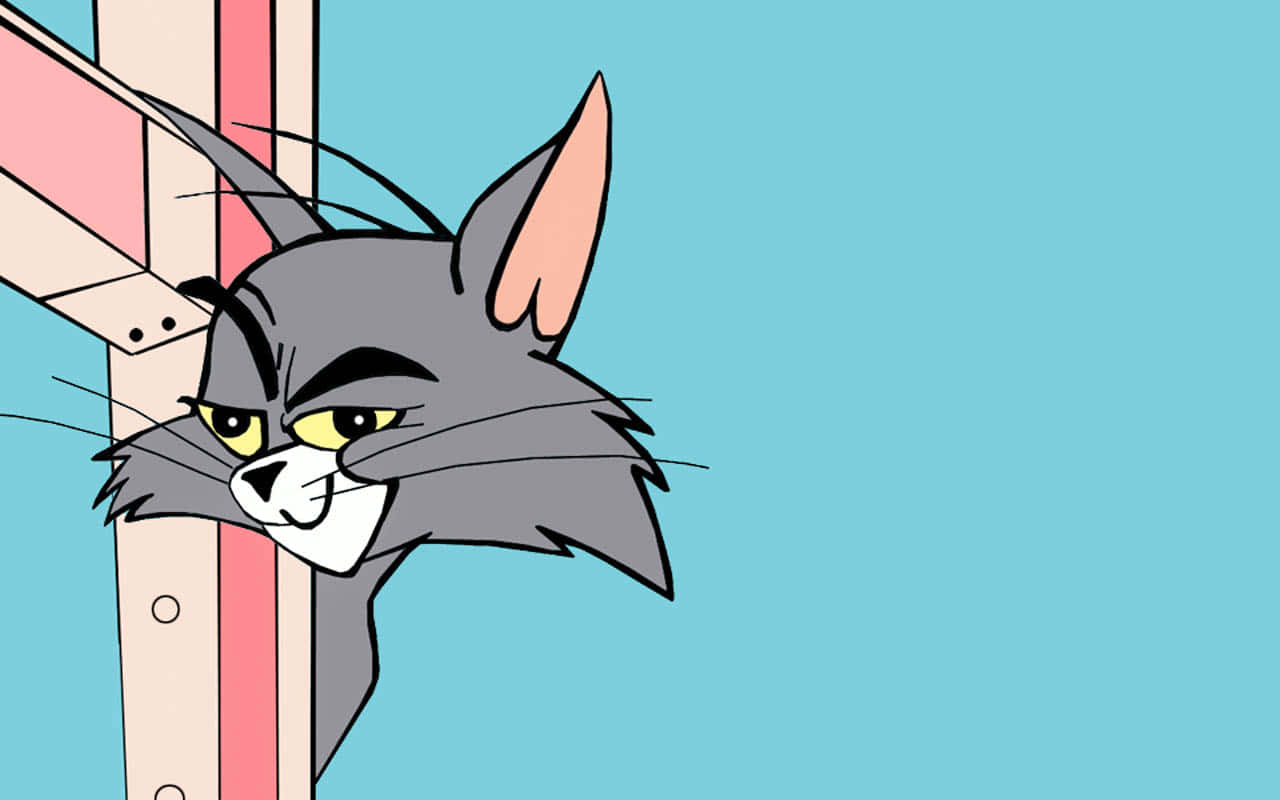 Download Tom And Jerry Funny Wallpaper 