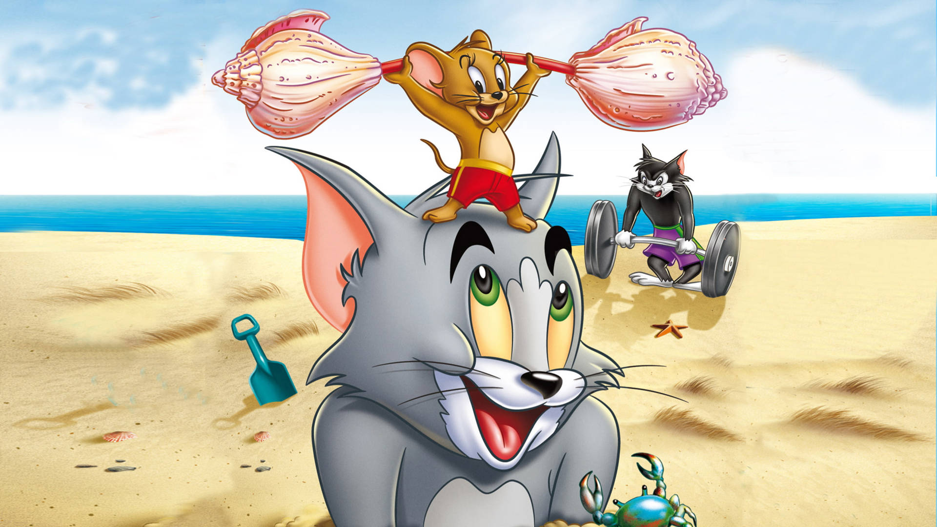 Tom And Jerry Tough And Tumble Background
