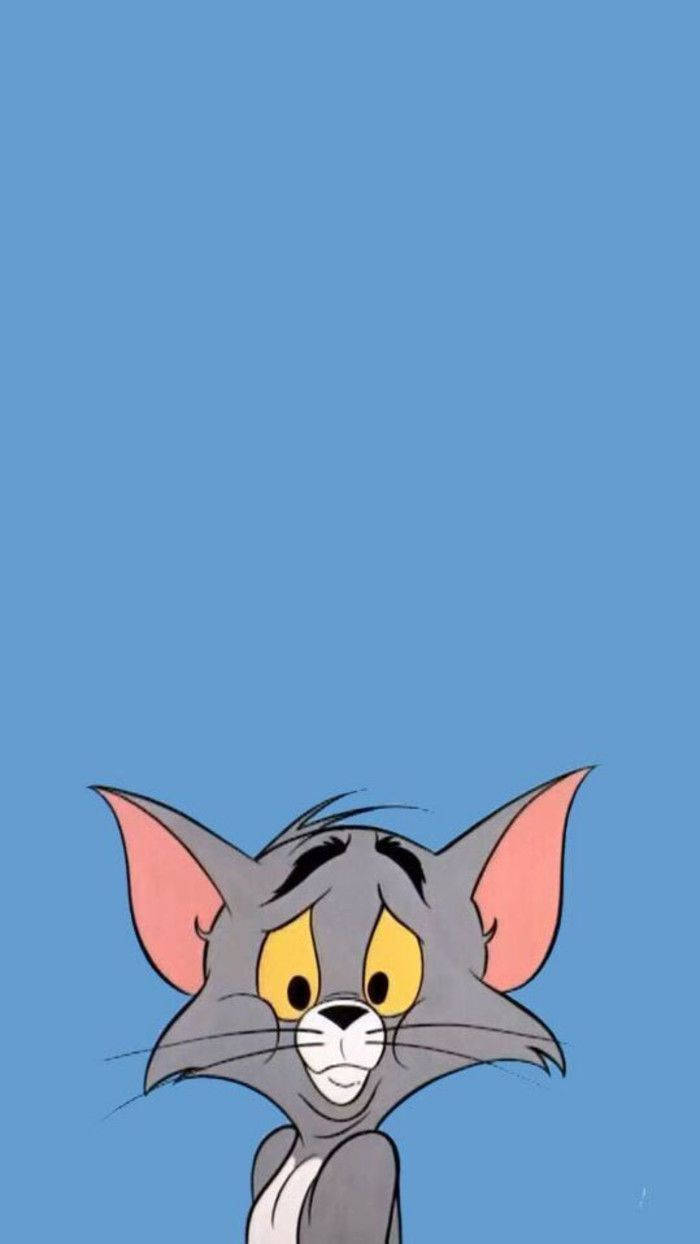 Tom Cat Cartoon Phone Background