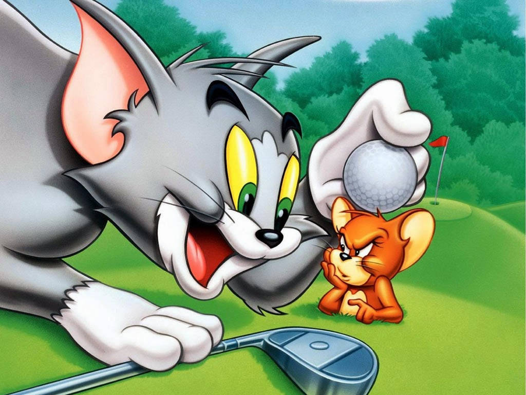 Tom Cat On A Golf Field Wallpaper