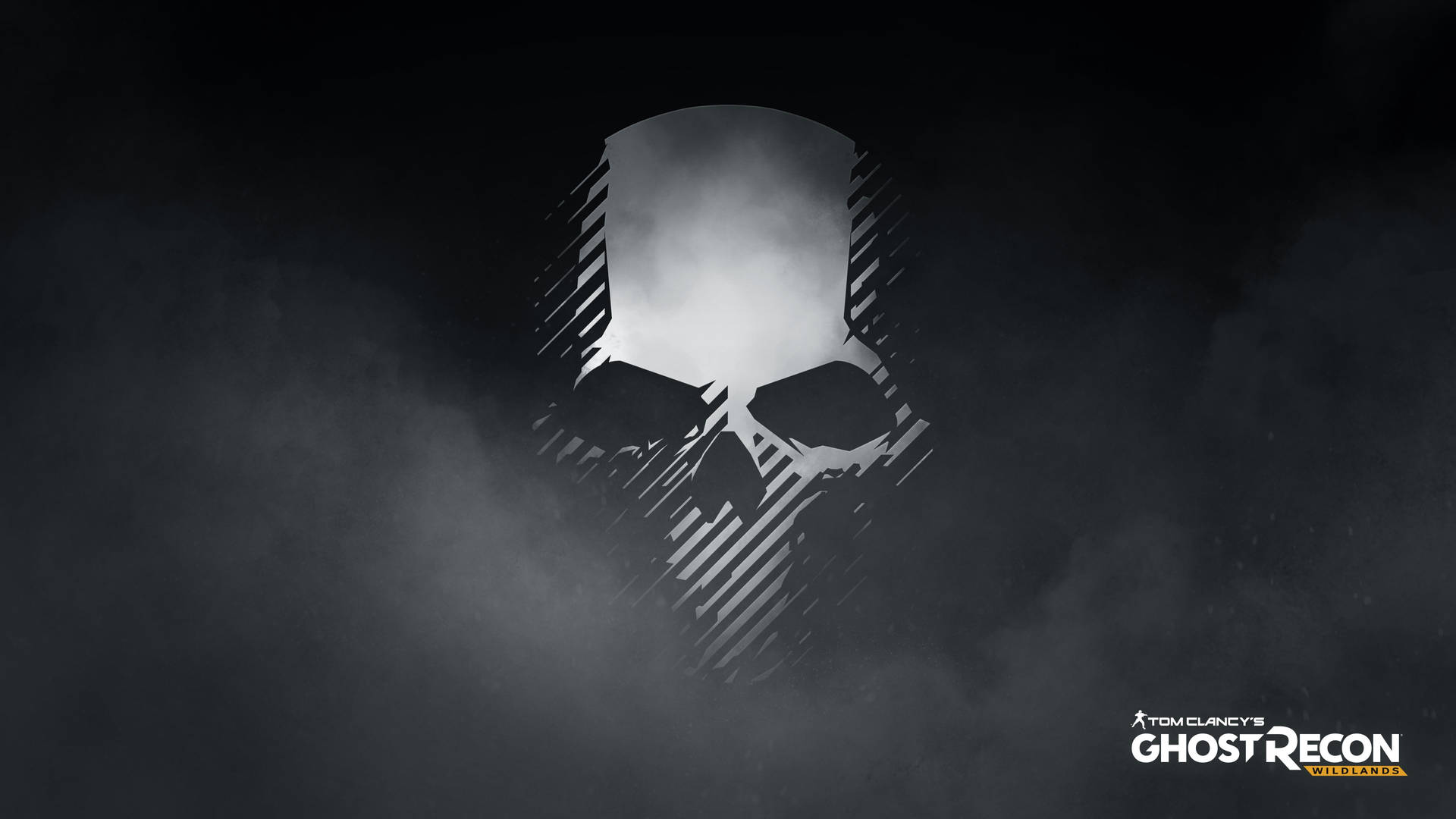 Tom Clancy's Ghost Recon Wildlands Skull Art Wallpaper