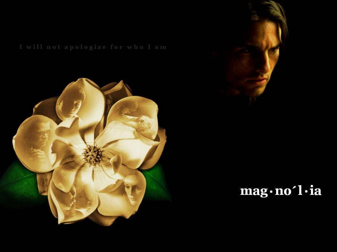 Tom Cruise hovedperson Magnolia Film mønster Tapet Wallpaper