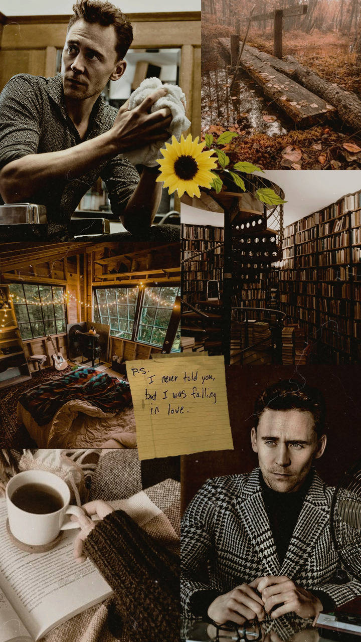 Estéticamarrón De Tom Hiddleston Fondo de pantalla