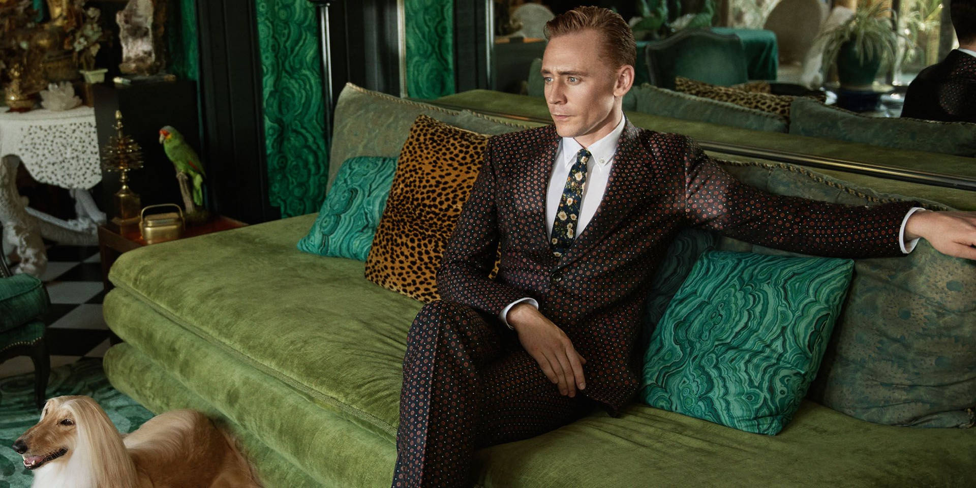Tom Hiddleston For Gucci Tapet Wallpaper
