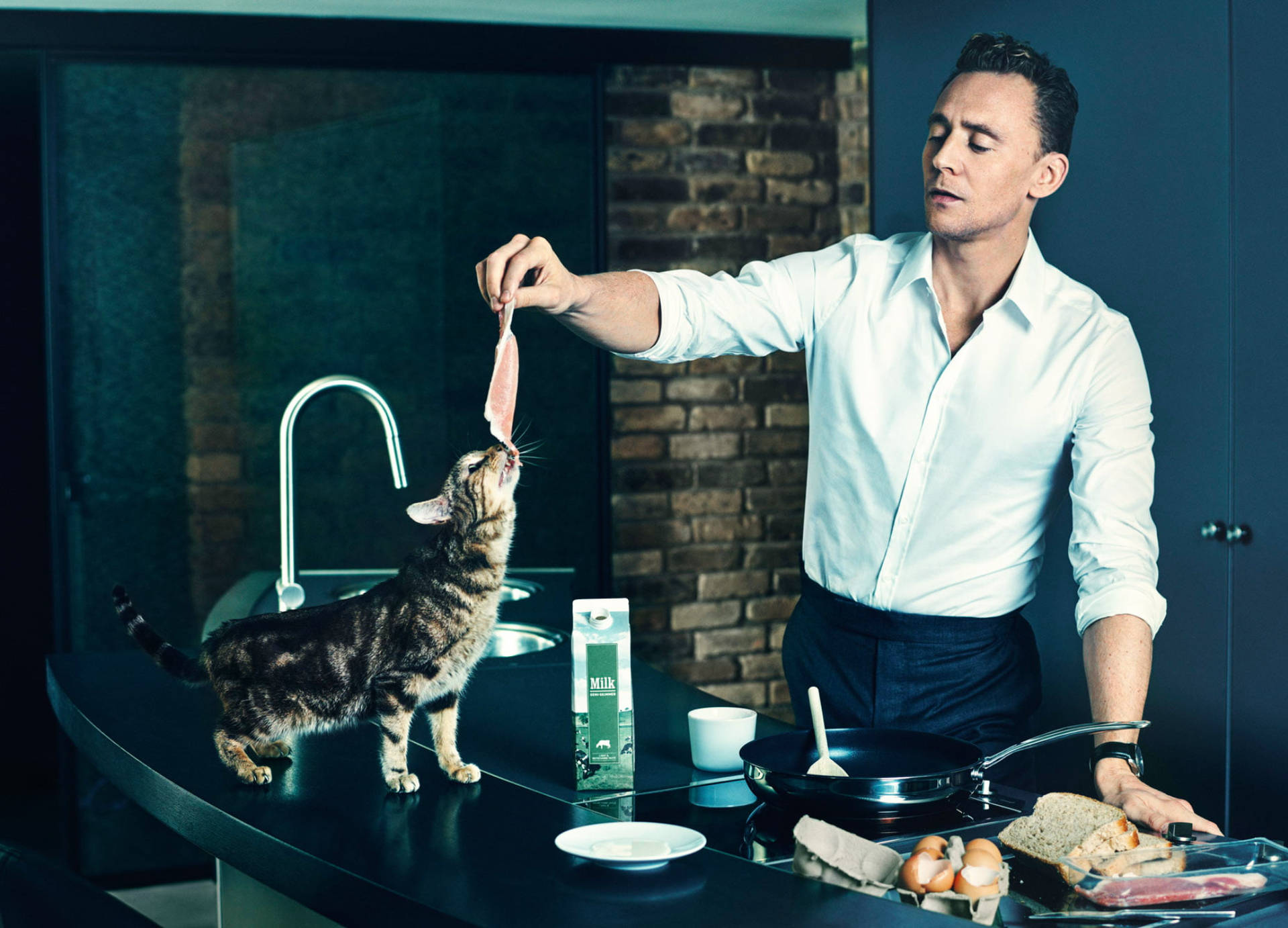 Wallpaper - Tom Hiddleston med en katt tapet Wallpaper