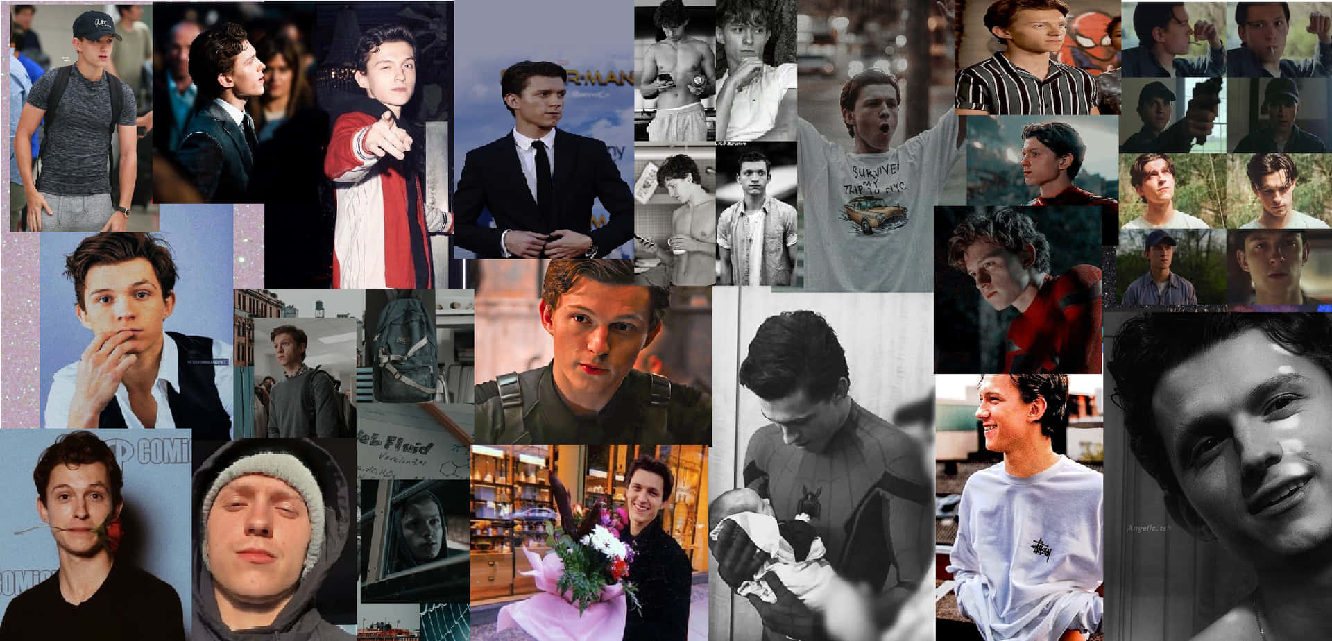 Tom Holland Aesthetic Collage Picture Wallpaper