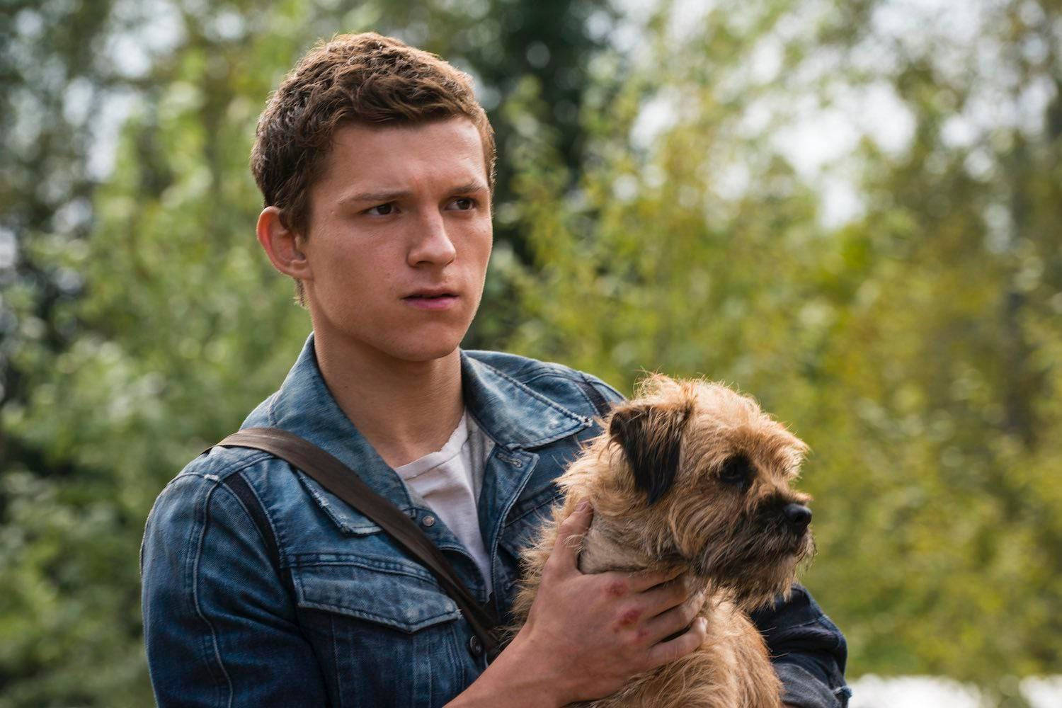 Tom Holland With Cute Puppy