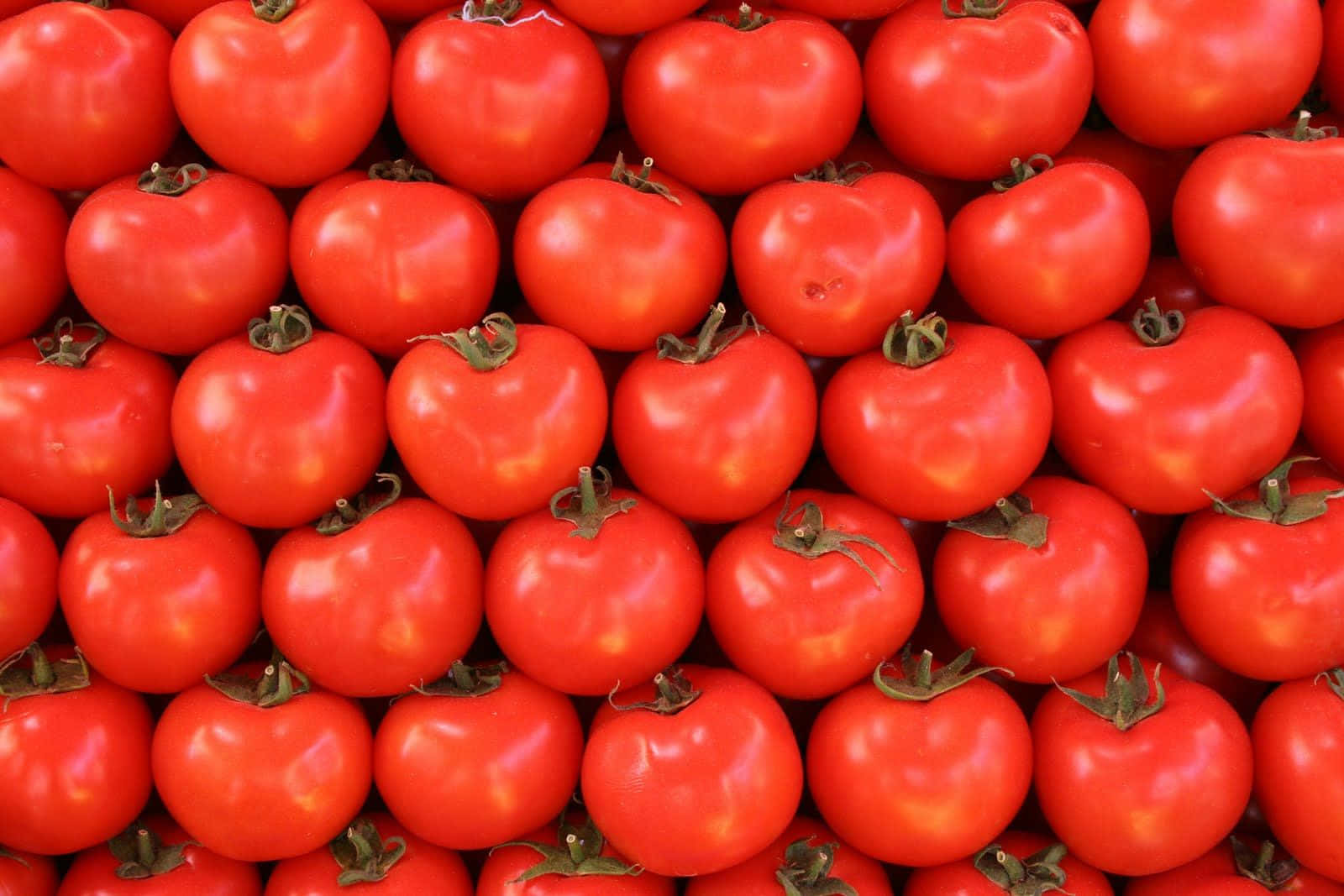 A Pile Of Tomatoes In A Pile