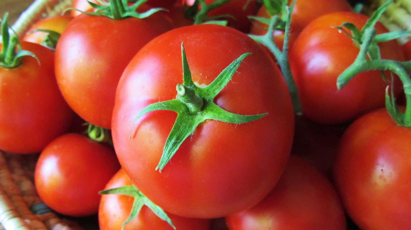 Delicious Tomatoes are the Perfect Addition to Any Meal