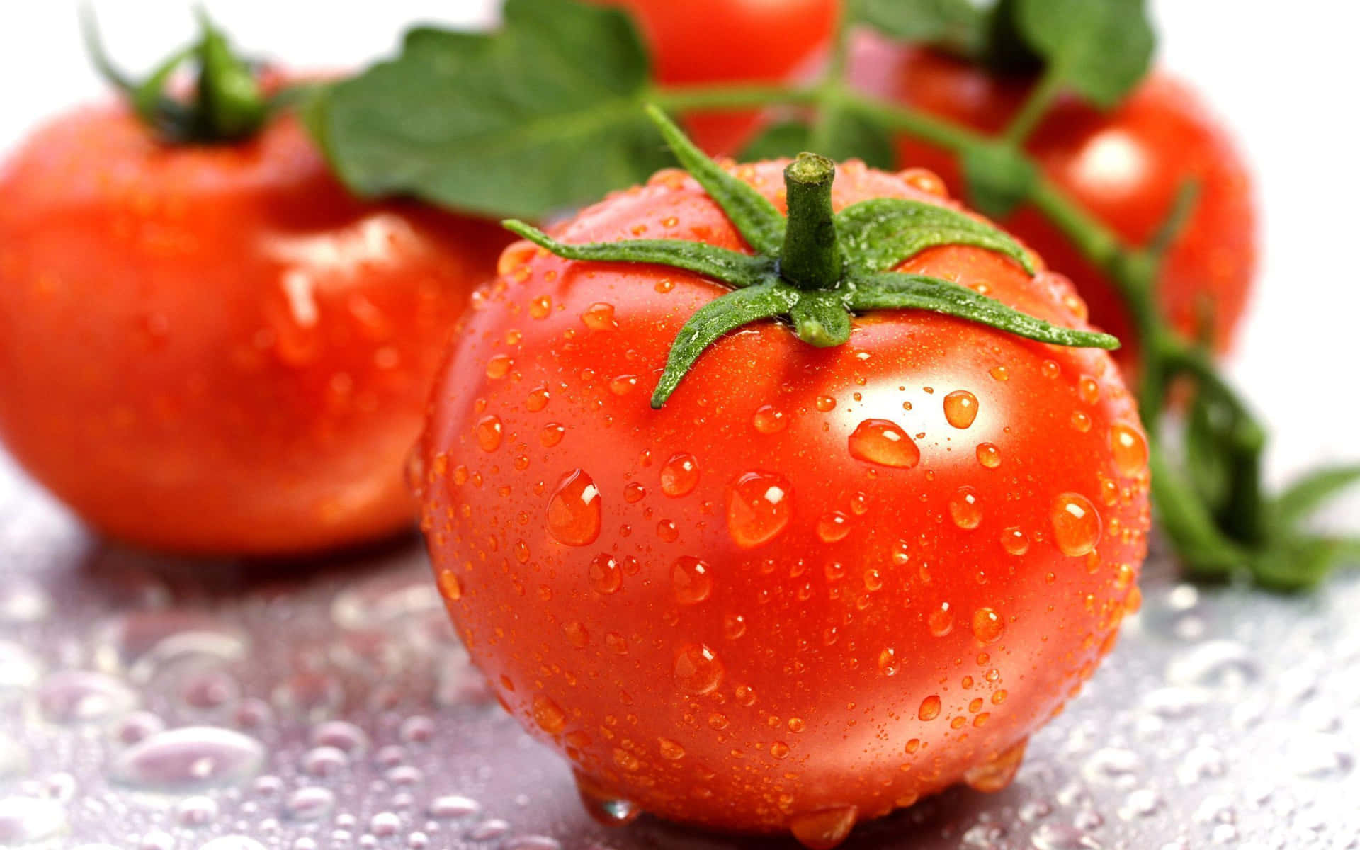 A freshly picked tomato, perfect for making salsa and sauces.