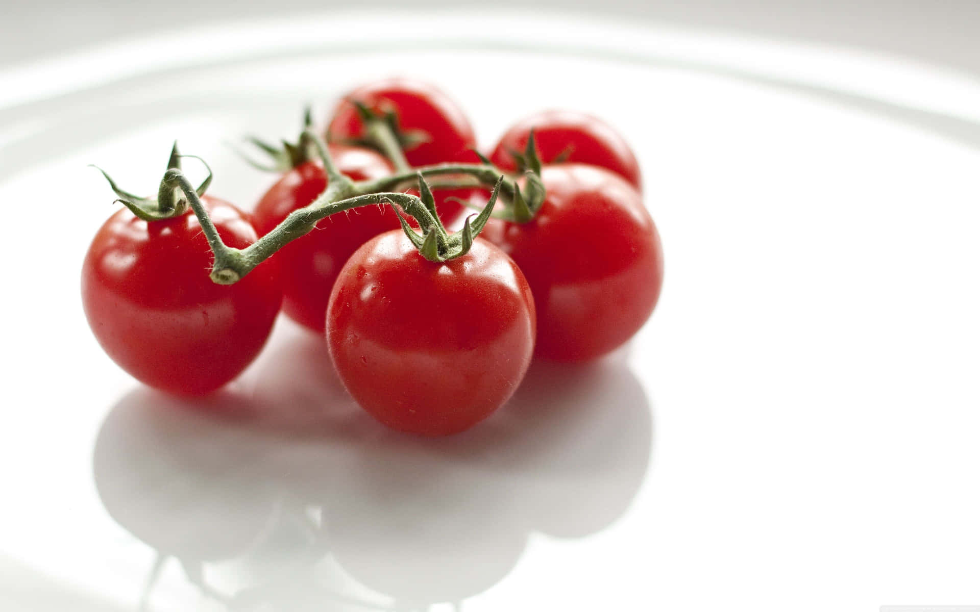Bright Red Tomatoes