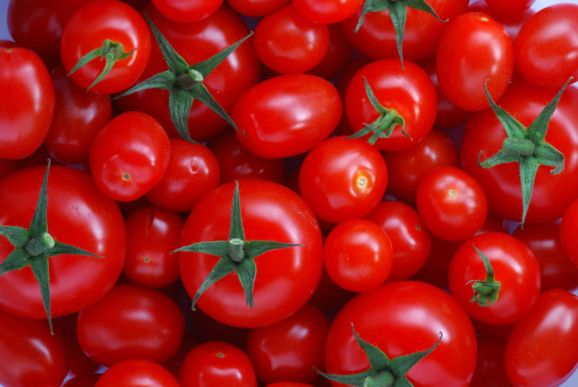 Enjoy the juicy taste of a ripe red tomato