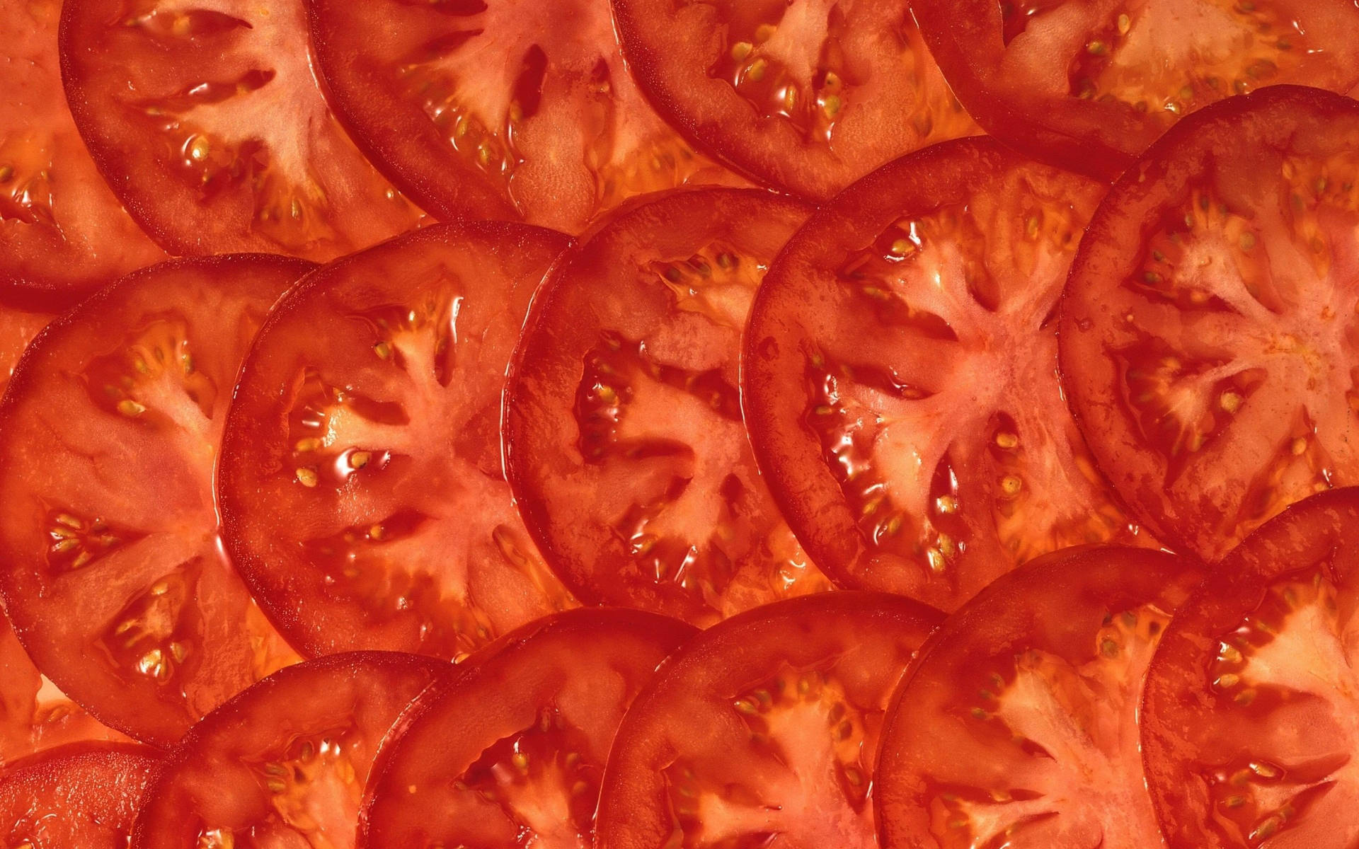 Tomato Fruit Rounded Slices Wallpaper