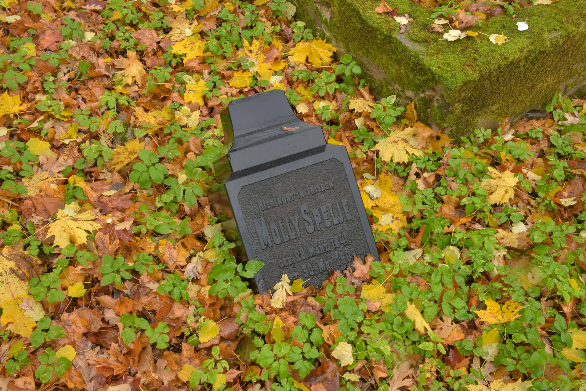 A Grave Marker Laying In The Grass