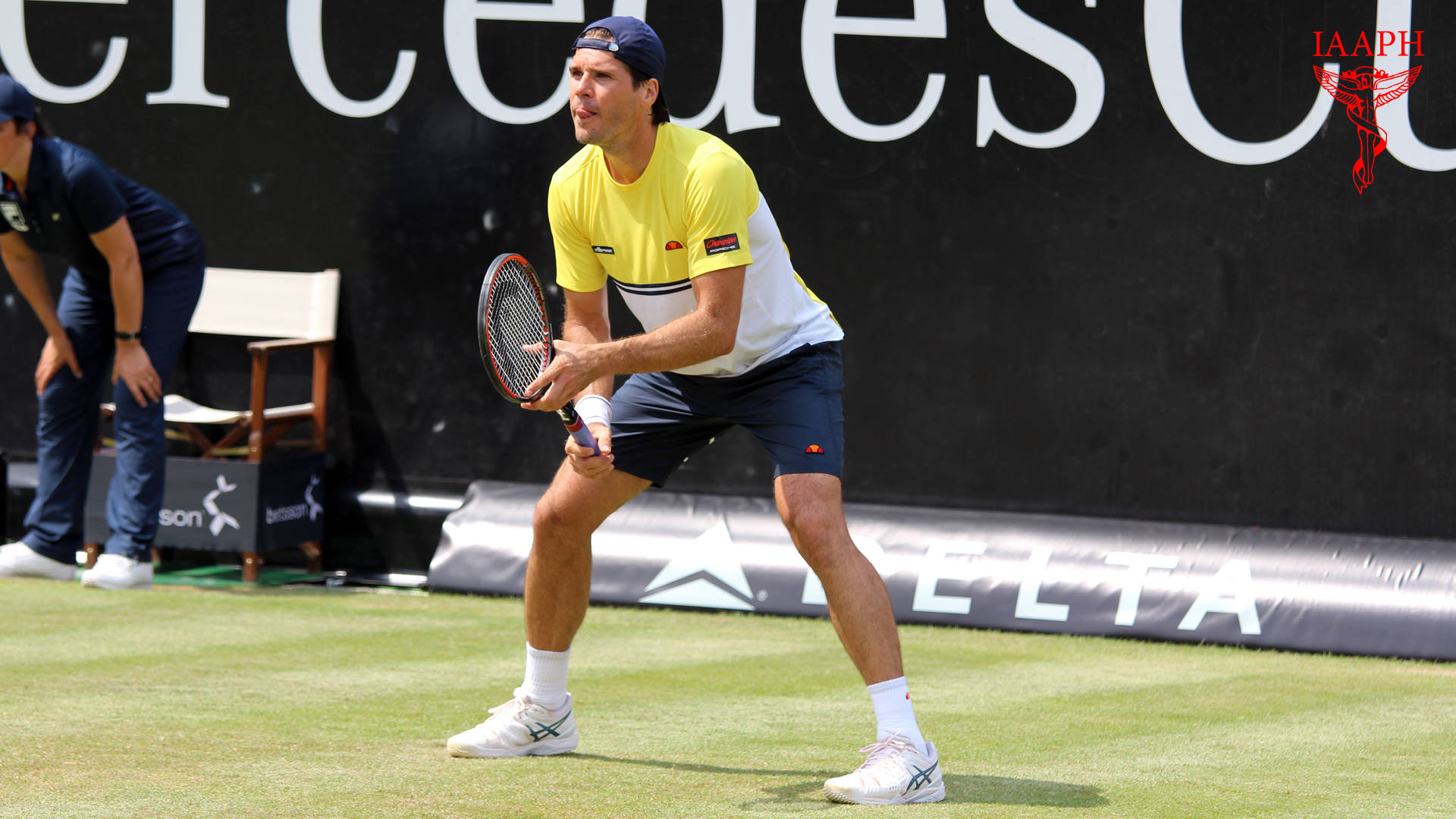 Tommy Haas Crouching Down Wallpaper