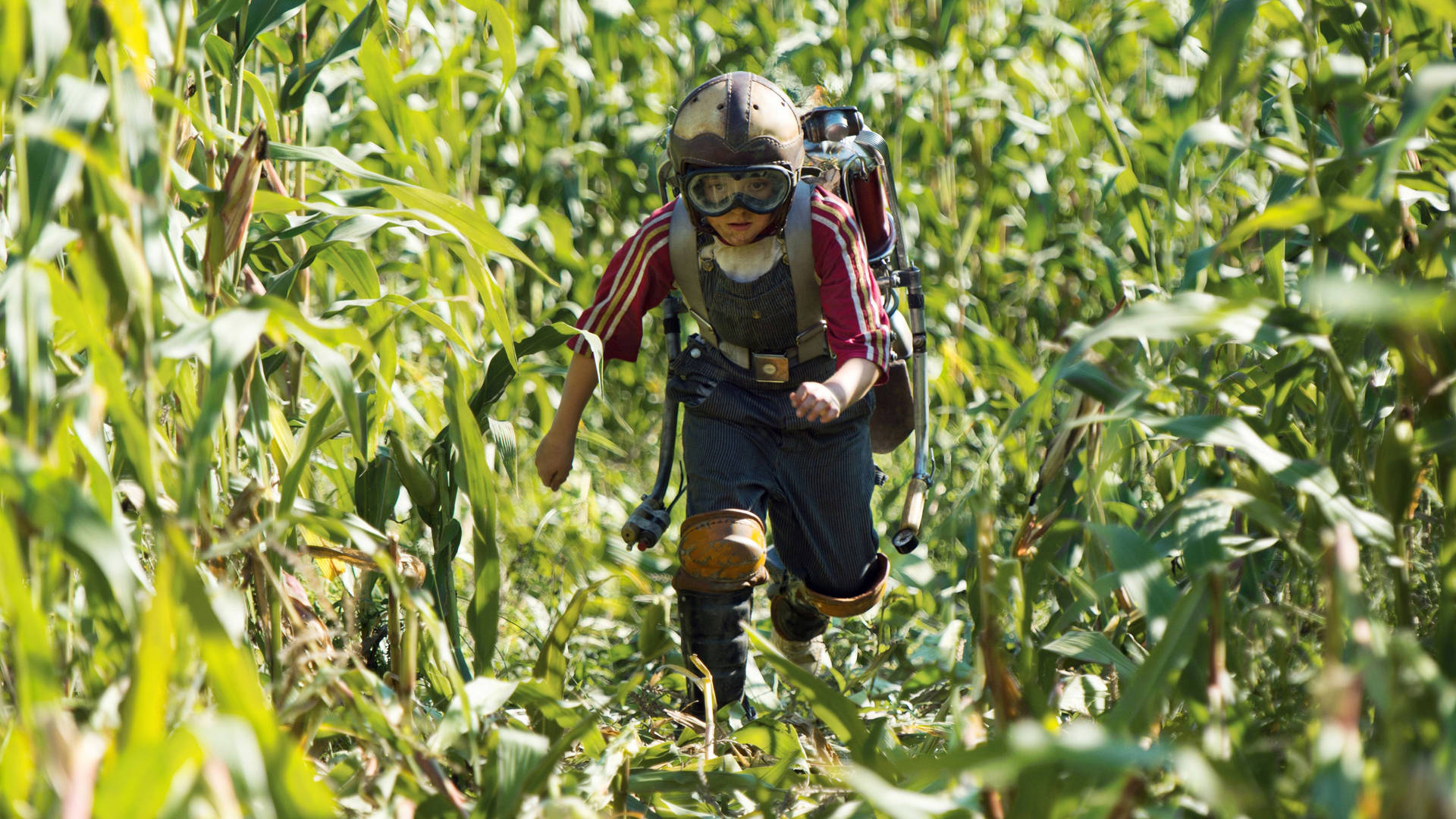 Tomorrowland Movie Nate In Corn Field Wallpaper
