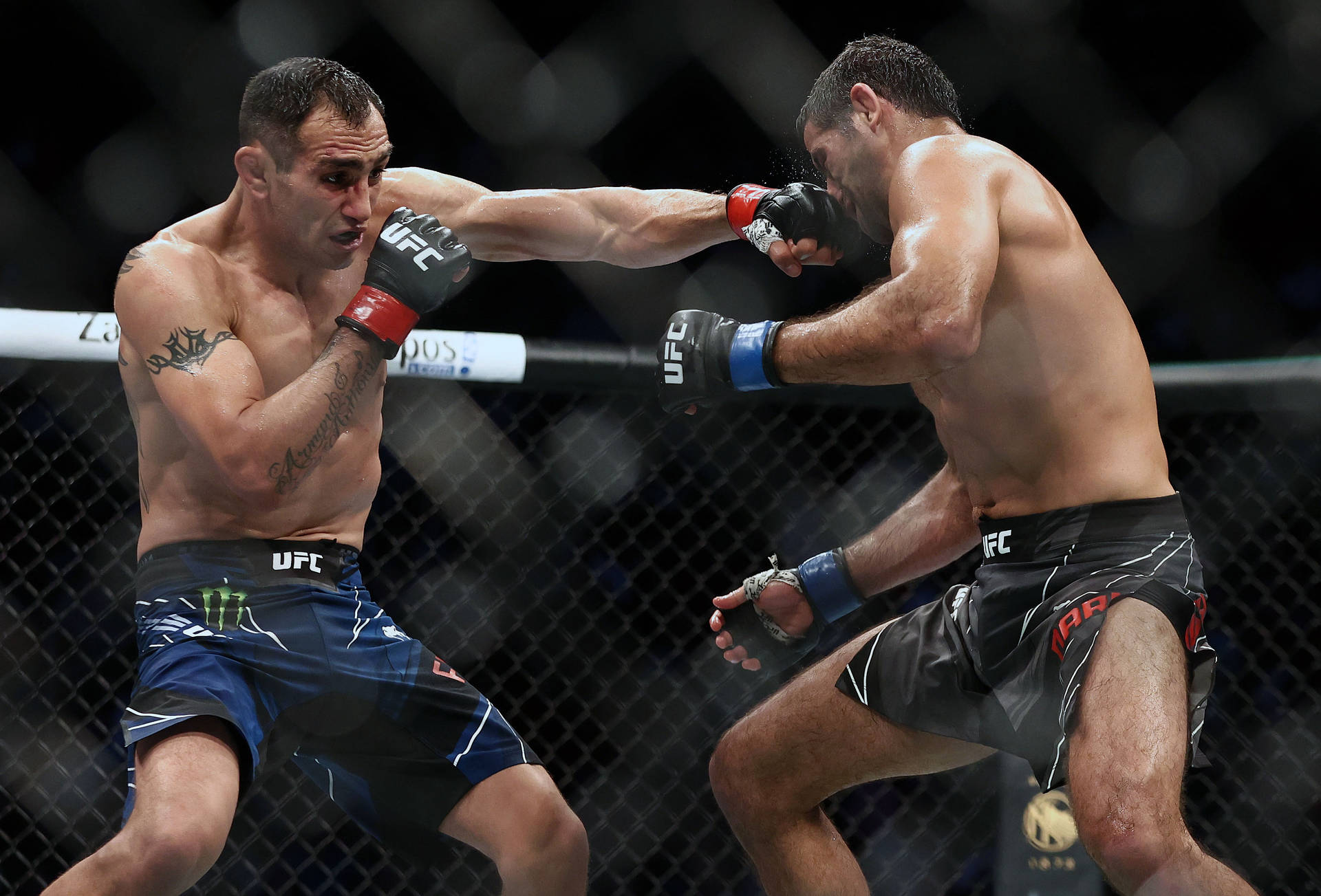 Beneil Dariush Dodging a Punch from Tony Ferguson in UFC Fight Wallpaper