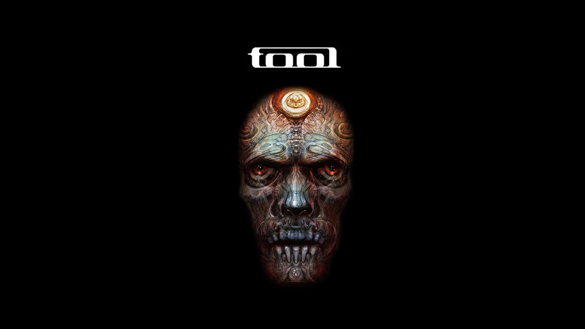 Tool Band reveals the secrets of performance and intensity Wallpaper