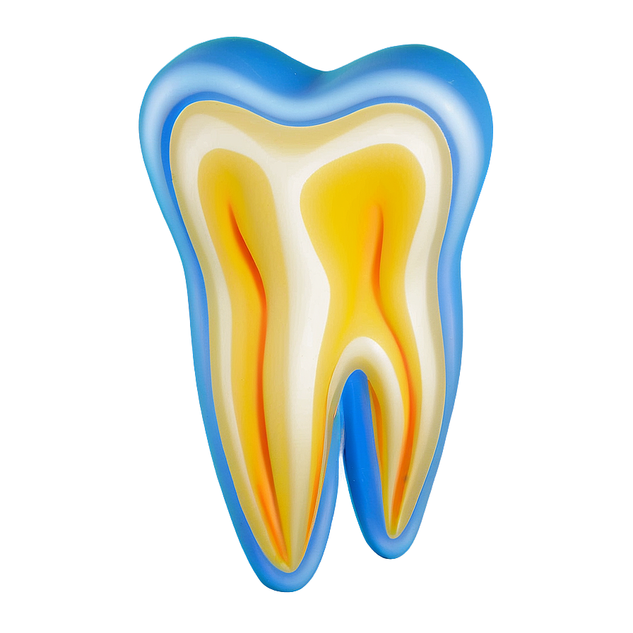 Download Tooth Model Png 05242024 | Wallpapers.com