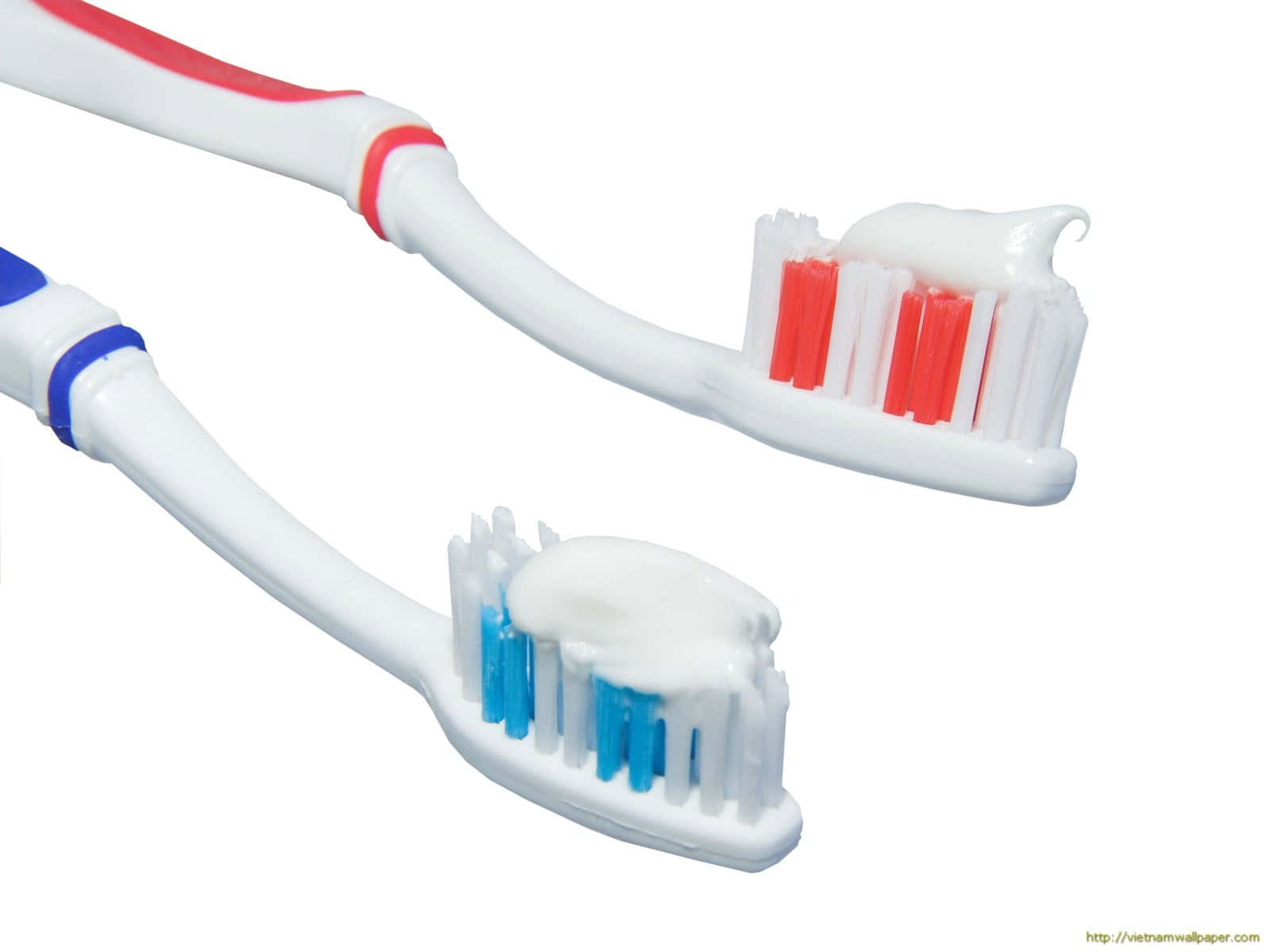 Toothbrushes_with_ Toothpaste.jpg Wallpaper