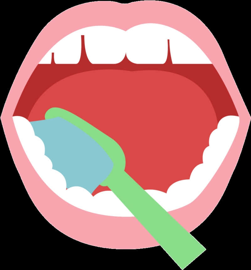 Toothbrushing Oral Care Illustration PNG