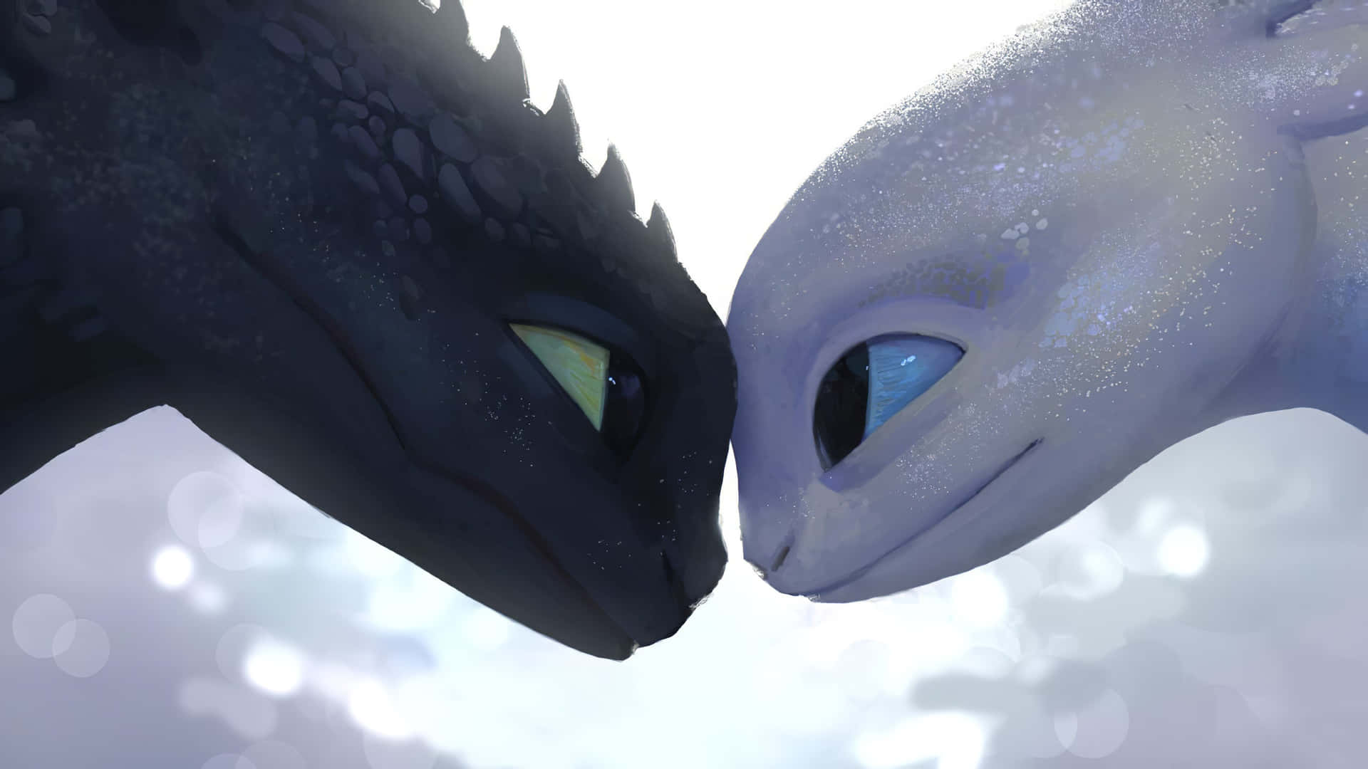 "stitch And Toothless: Best Friends Forever!" Wallpaper