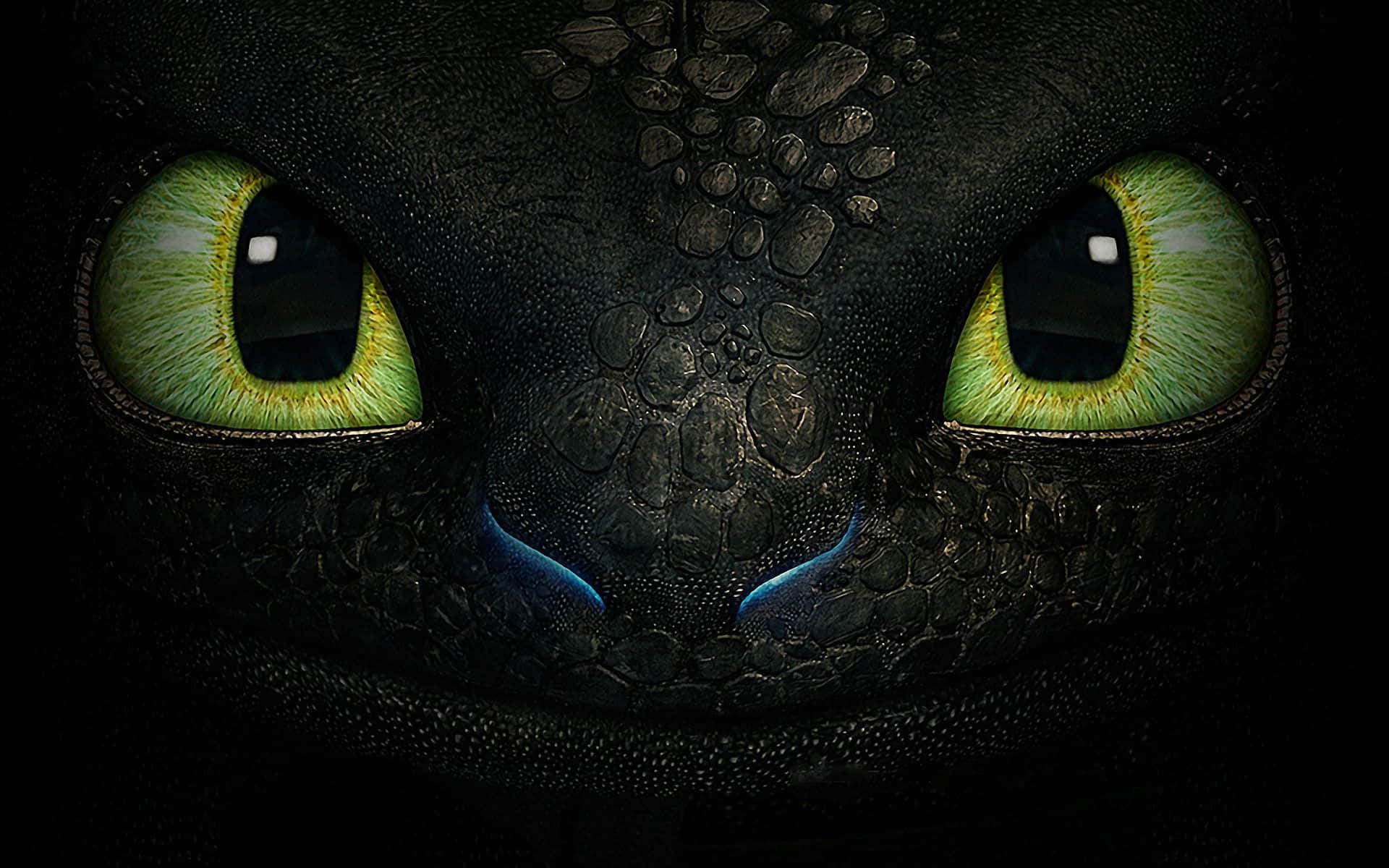 Toothless Face From How To Train Your Dragon The Hidden World Wallpaper