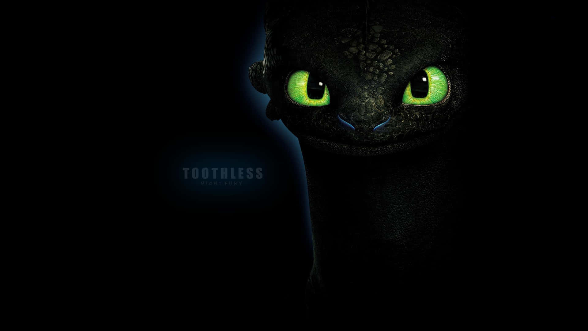 Toothless Night Fury Dragon Wallpaper