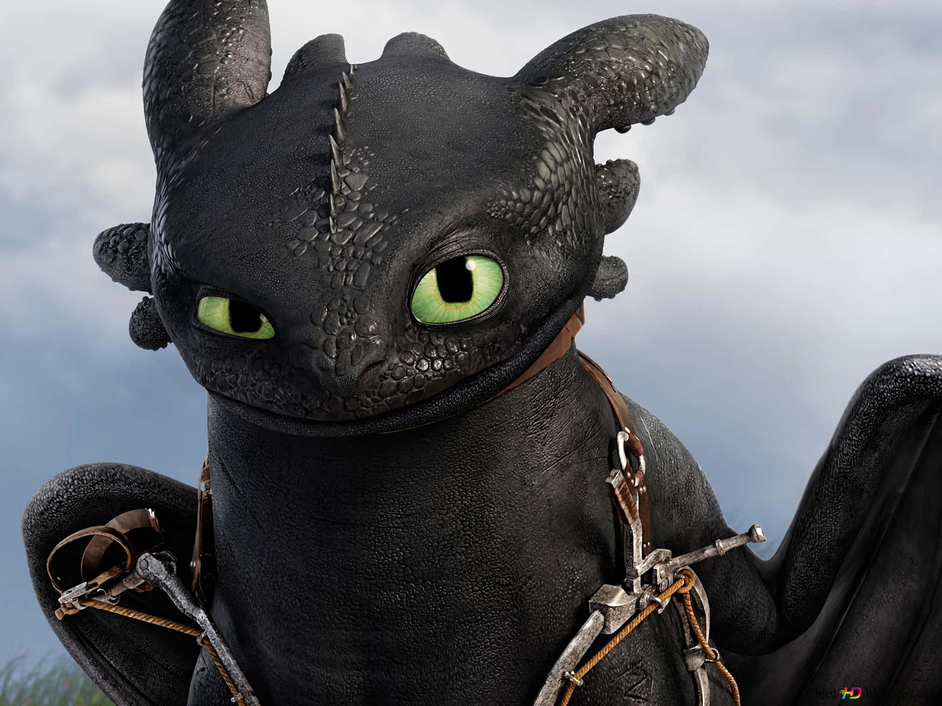Toothless Smirking In How To Train Your Dragon The Hidden World Wallpaper