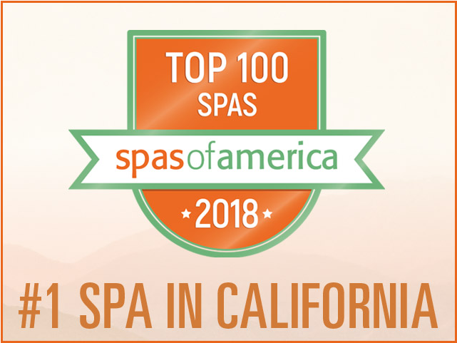 Top100 Spasof America2018 Award PNG