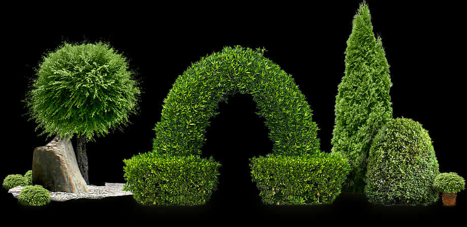 Topiary Garden Variety PNG