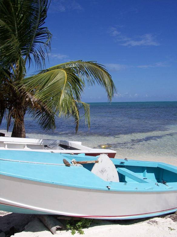 Topical Beach Coconut Tree Boat Wallpaper