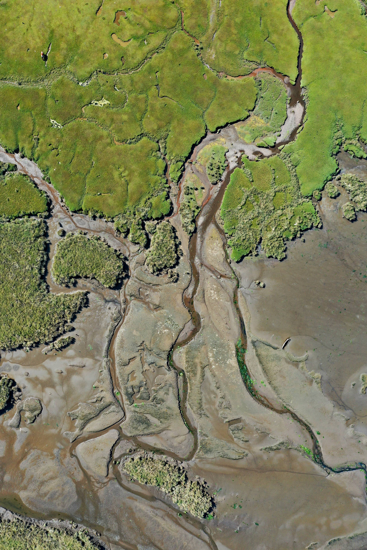 Topografia Delle Aree Terra-acqua Sfondo