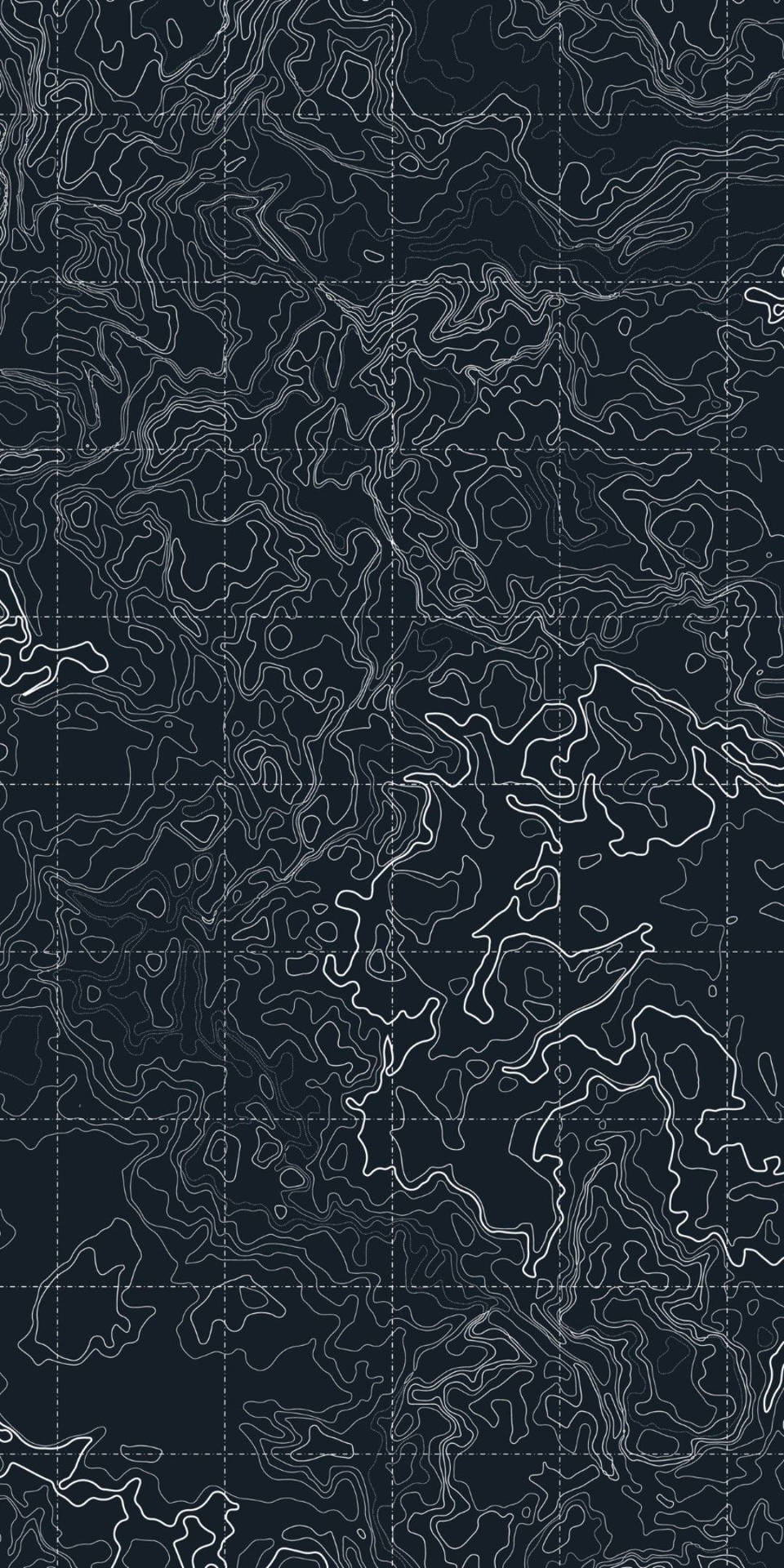 Topography Map Contours Wallpaper