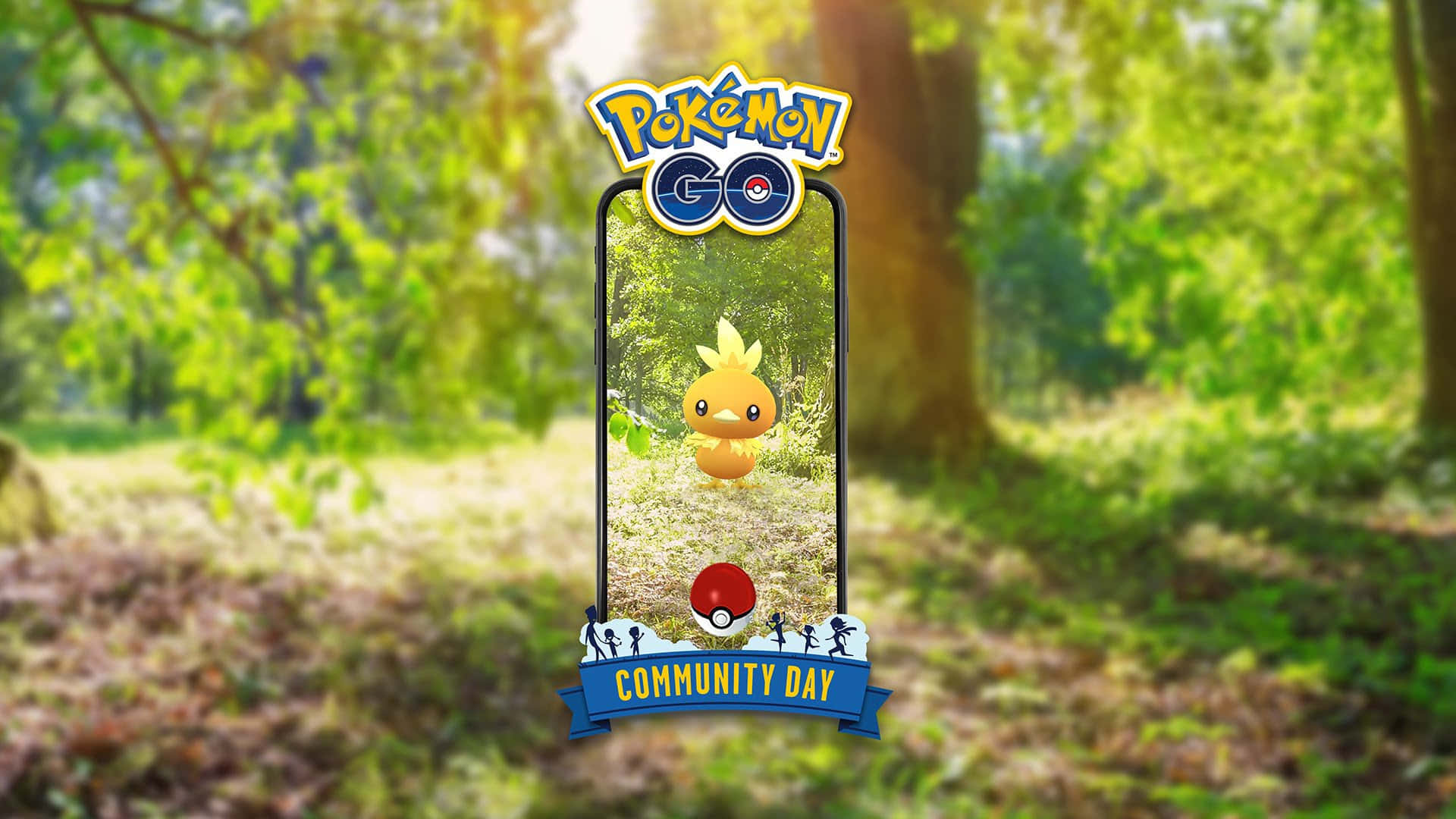 Torchic With Pokemon Go Community Day Logo Wallpaper