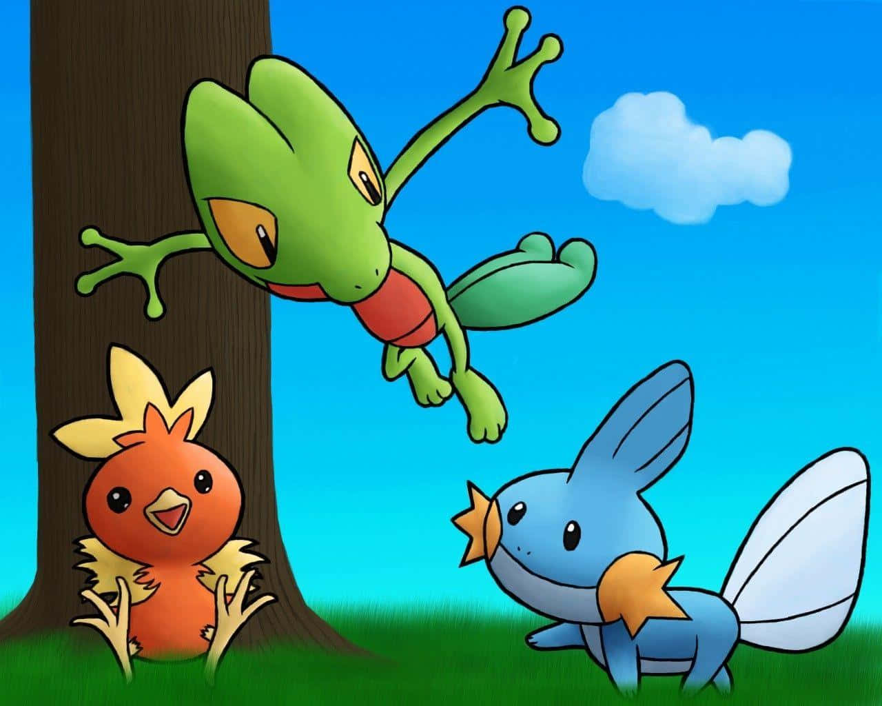 Torchic With Treecko And Mudkip Wallpaper