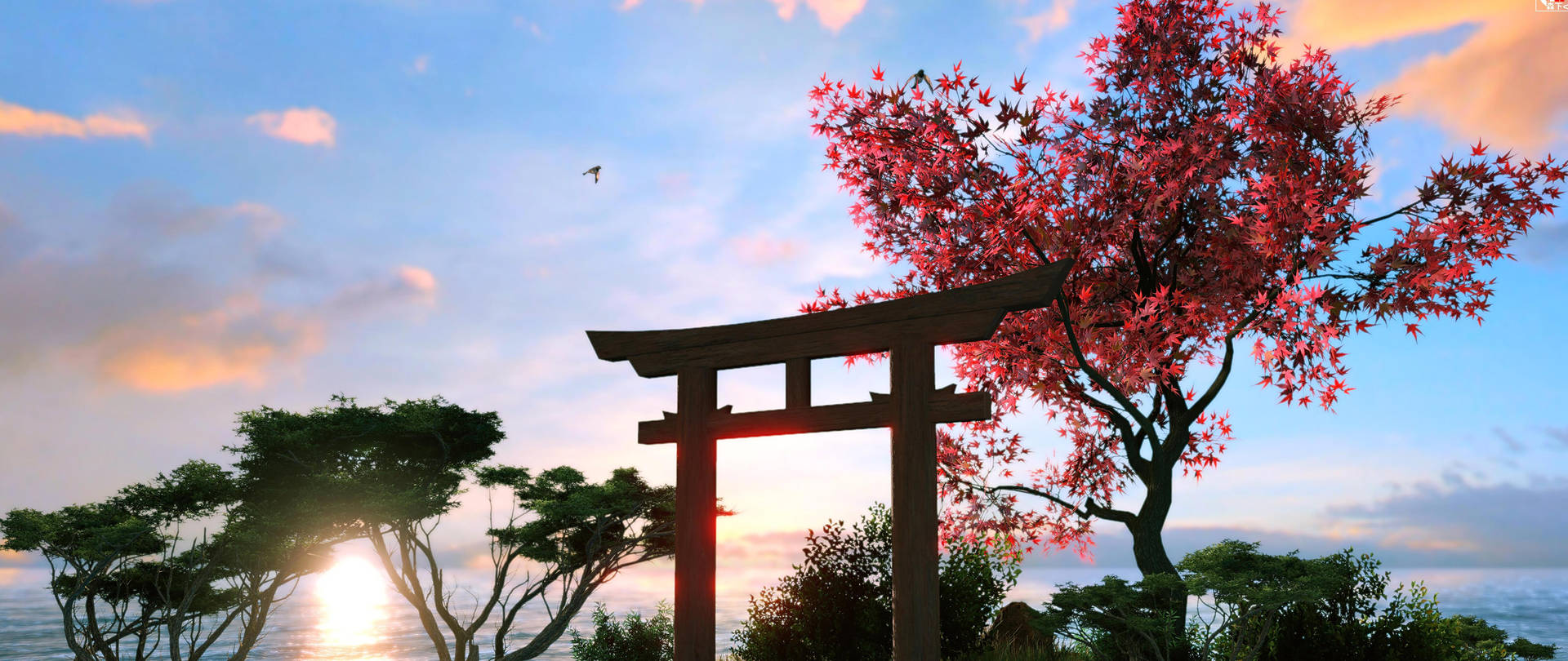 Torii Gate Cherry Blossoms