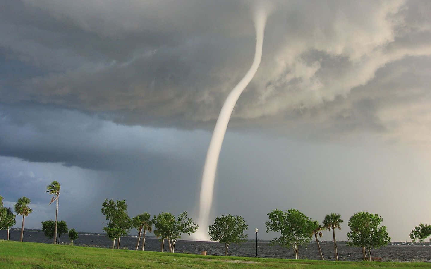 Powerful Tornado Swirling in an Open Field