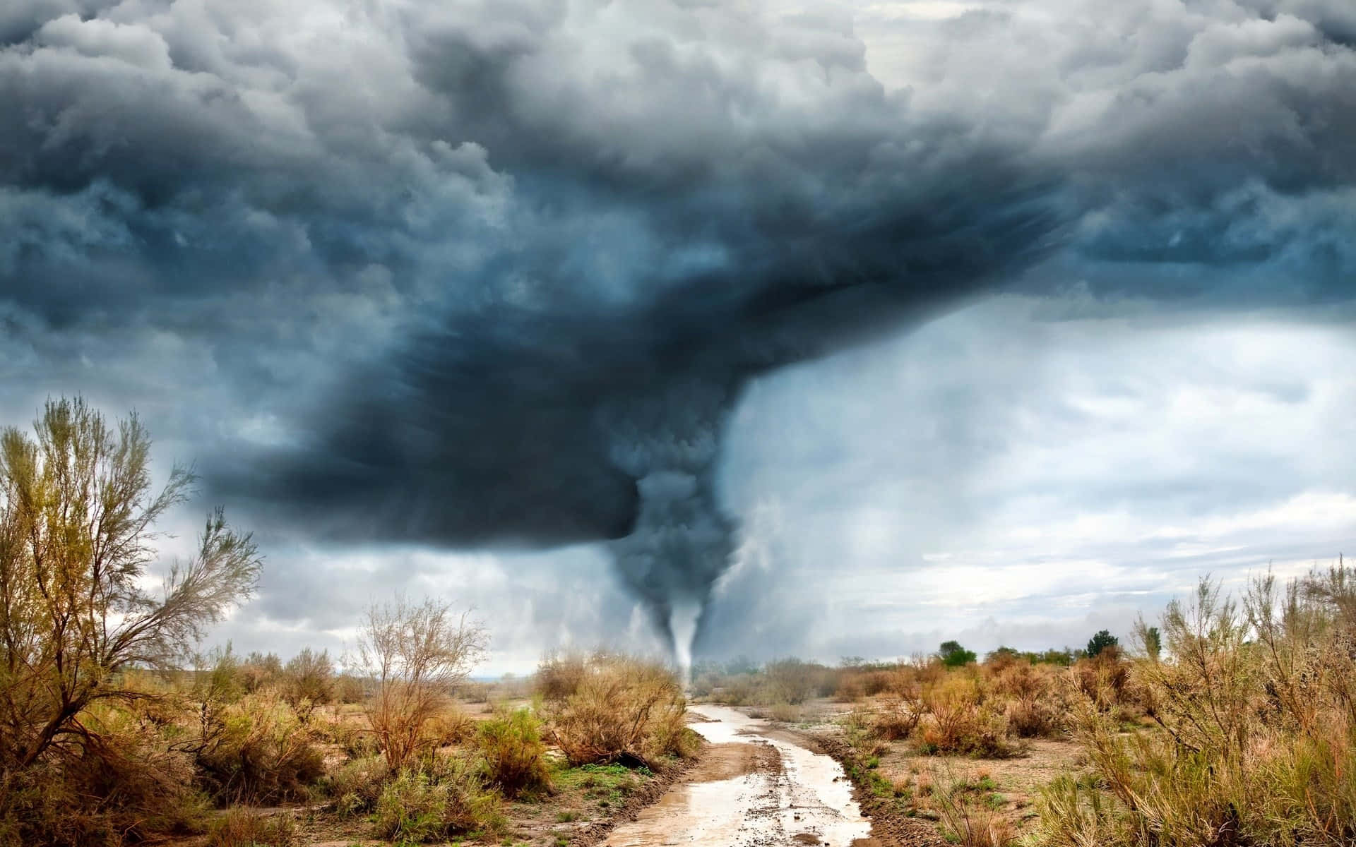 Powerful Tornado Sweeping Across an Open Field