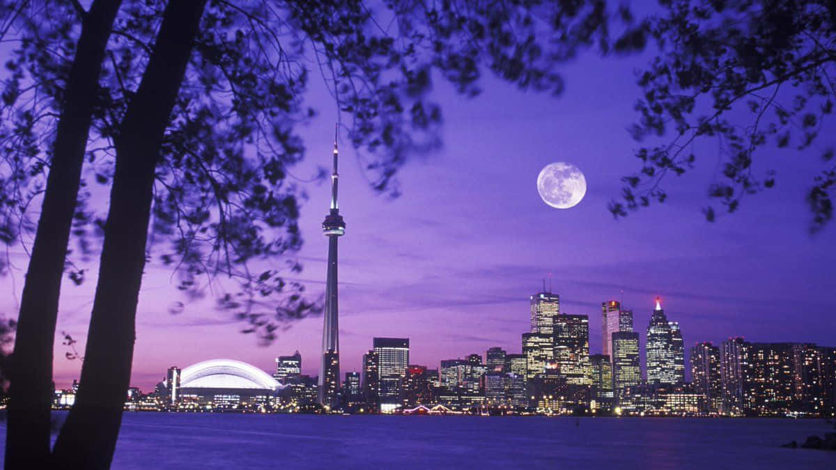 Willkommenin Der Wundervollen Stadt Toronto