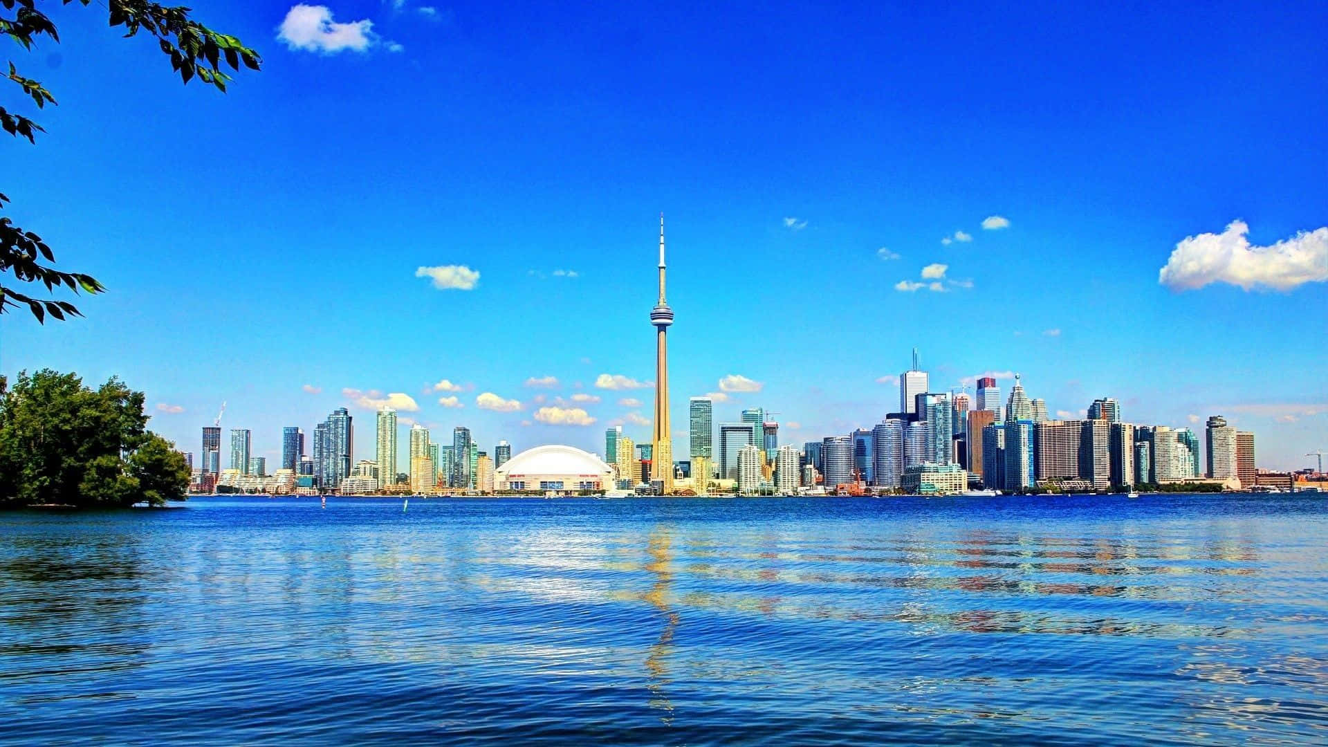 Bländandeskyskrapor Som Blickar Ut Över Centrala Toronto