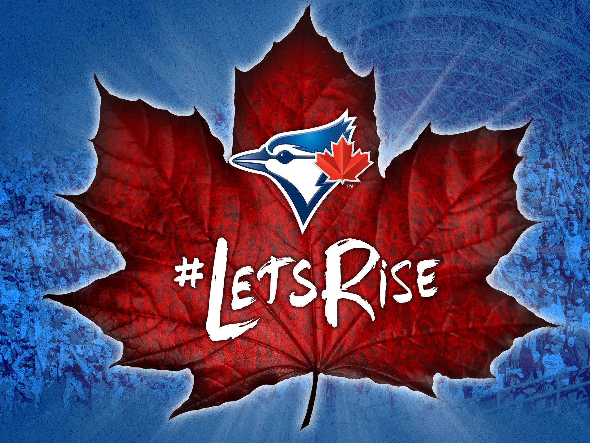 Toronto Blue Jays Maple Leaf Logo Wallpaper