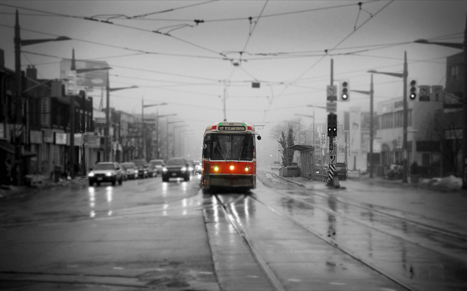 Torontobus In Einer Grau Gehaltenen Szenerie Wallpaper