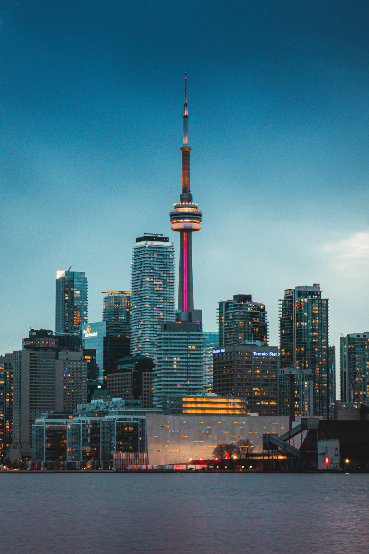 Torontocityscape Con La Torre Cn. Fondo de pantalla