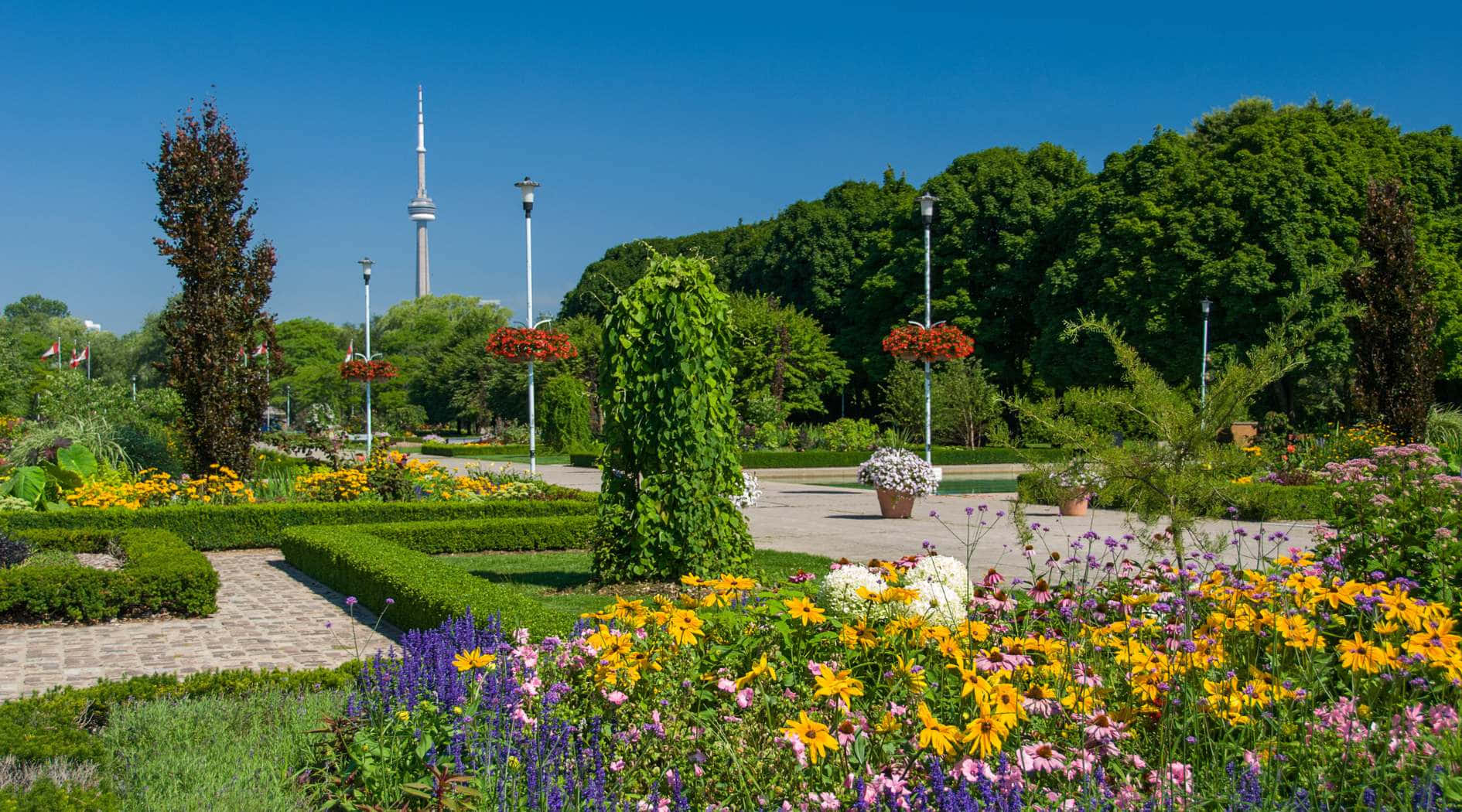 Toronto Islands Gardenwith C N Tower View Wallpaper