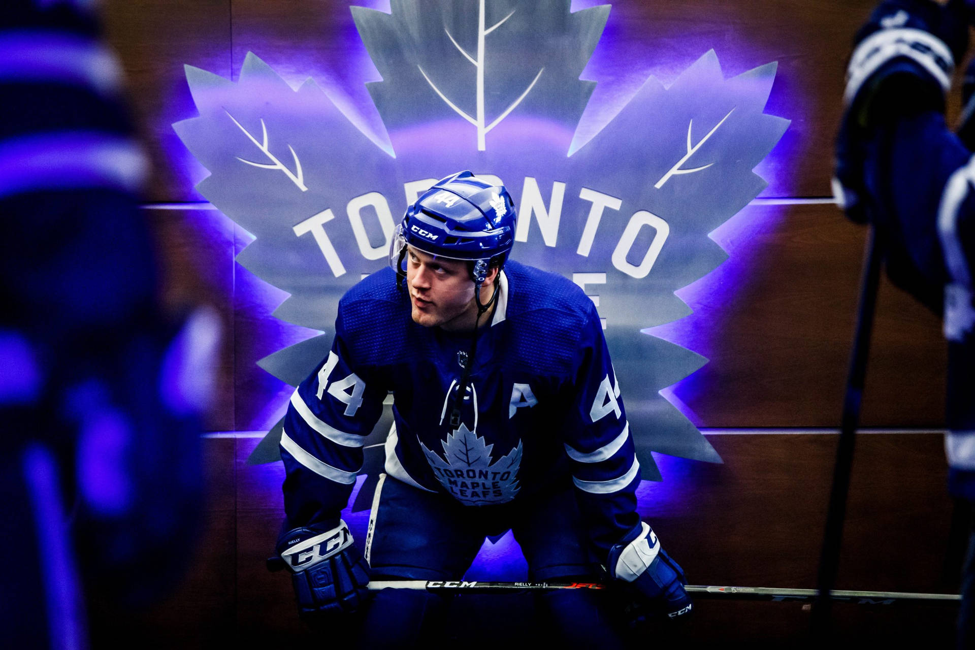 Logoiluminado De Los Toronto Maple Leafs Con Morgan Rielly Para Tu Fondo De Pantalla De Computadora O Móvil. Fondo de pantalla
