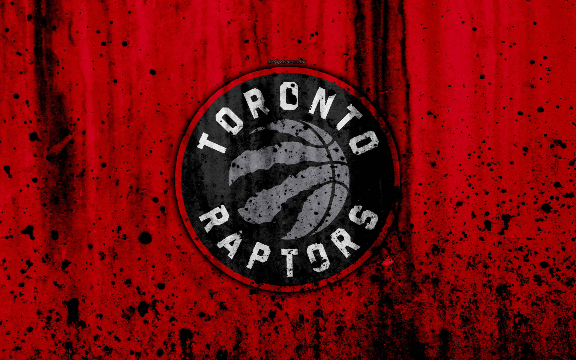 Toronto Raptors I Sort og Rød Wallpaper