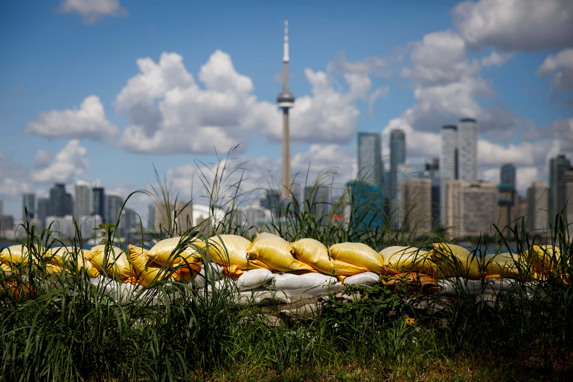 Toronto Skyline Viewfrom Islands Wallpaper