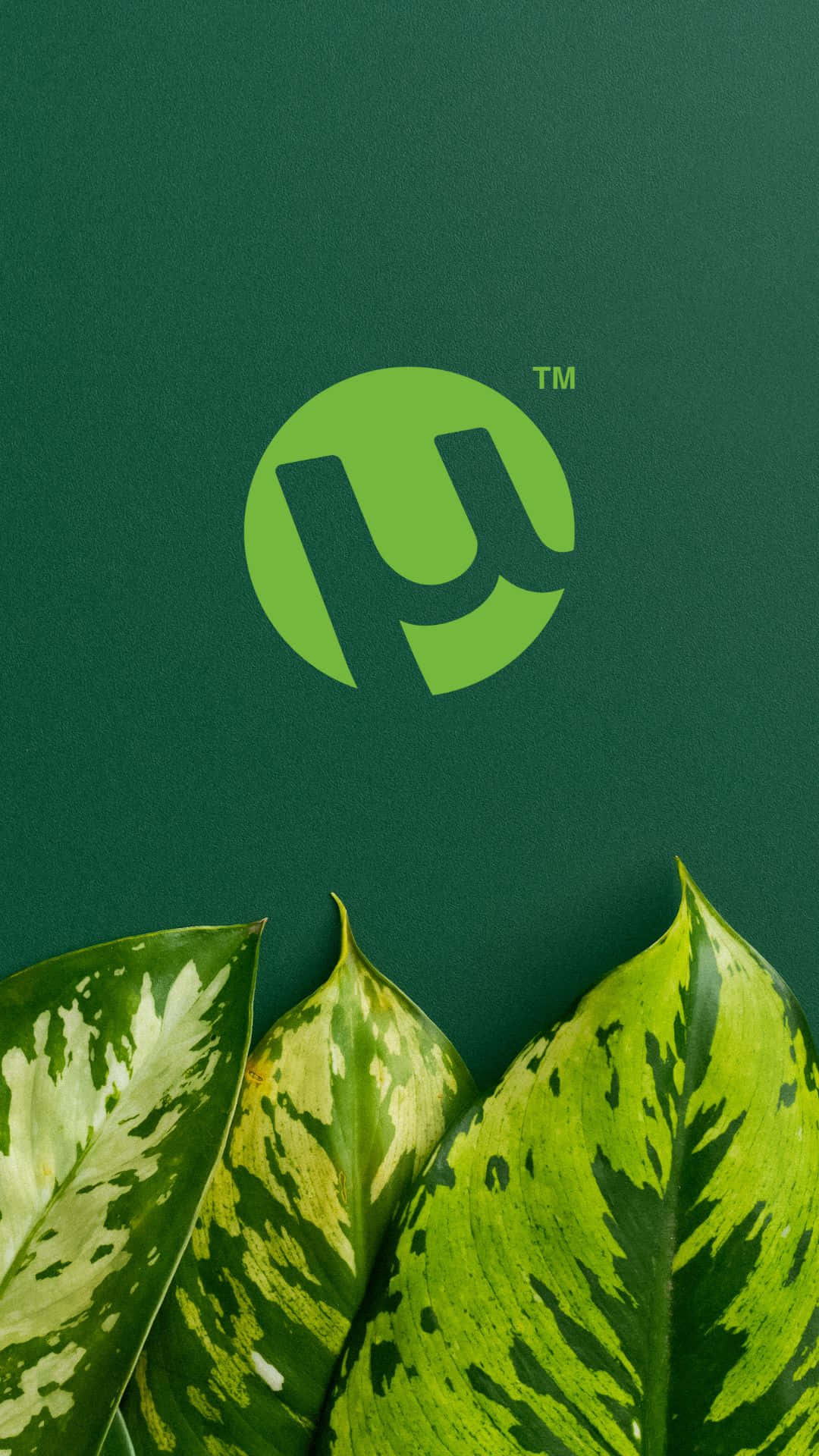 Eingrünes Blatt Mit Dem Logo Von Ubuntu. Wallpaper